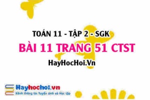 Bài 11 trang 51 Toán 11 tập 2 Chân trời sáng tạo